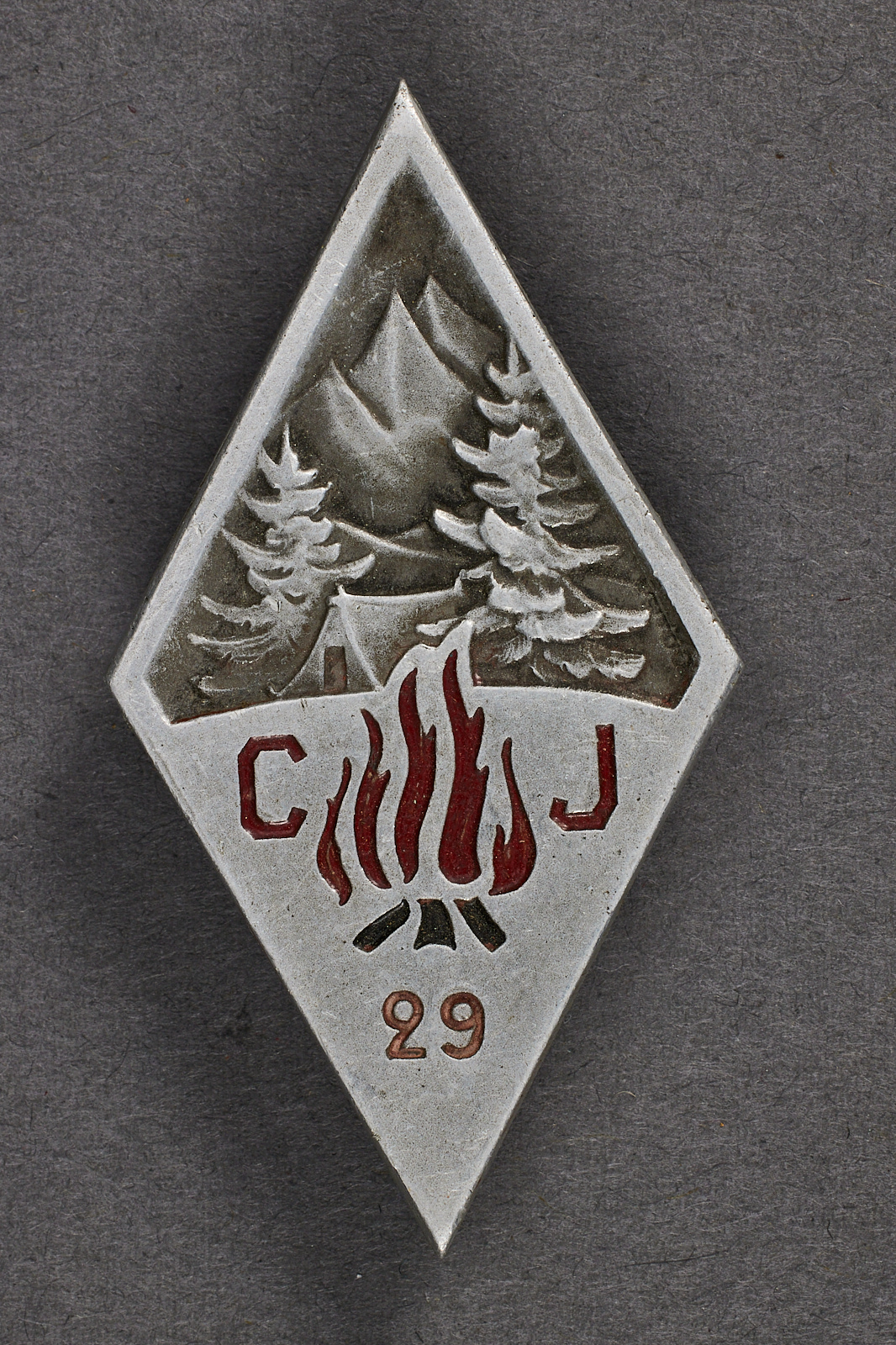 French Youth Badge #21490 
