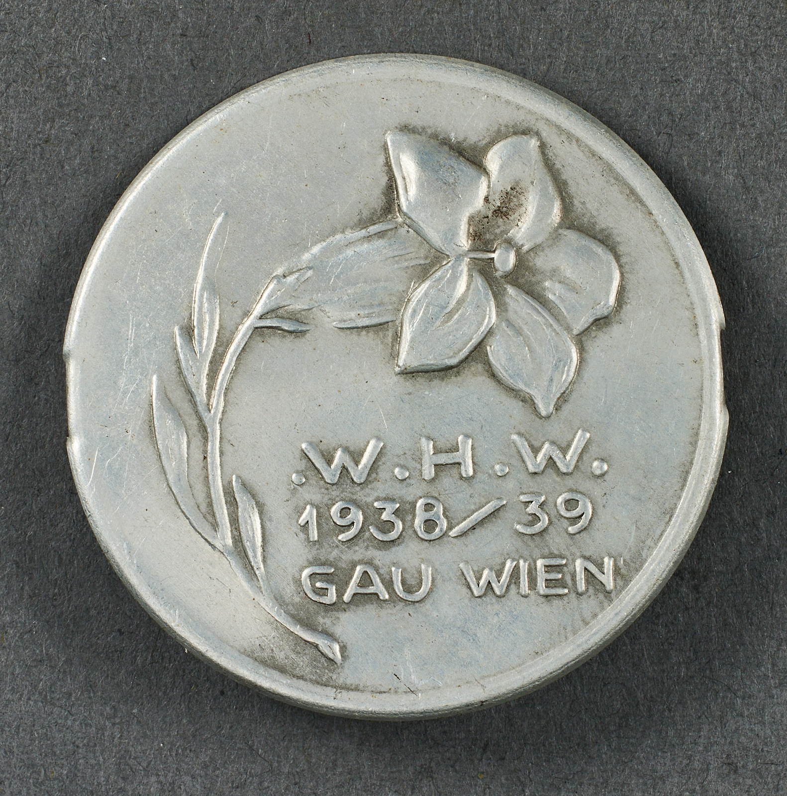 Wien Tinnie #20947 