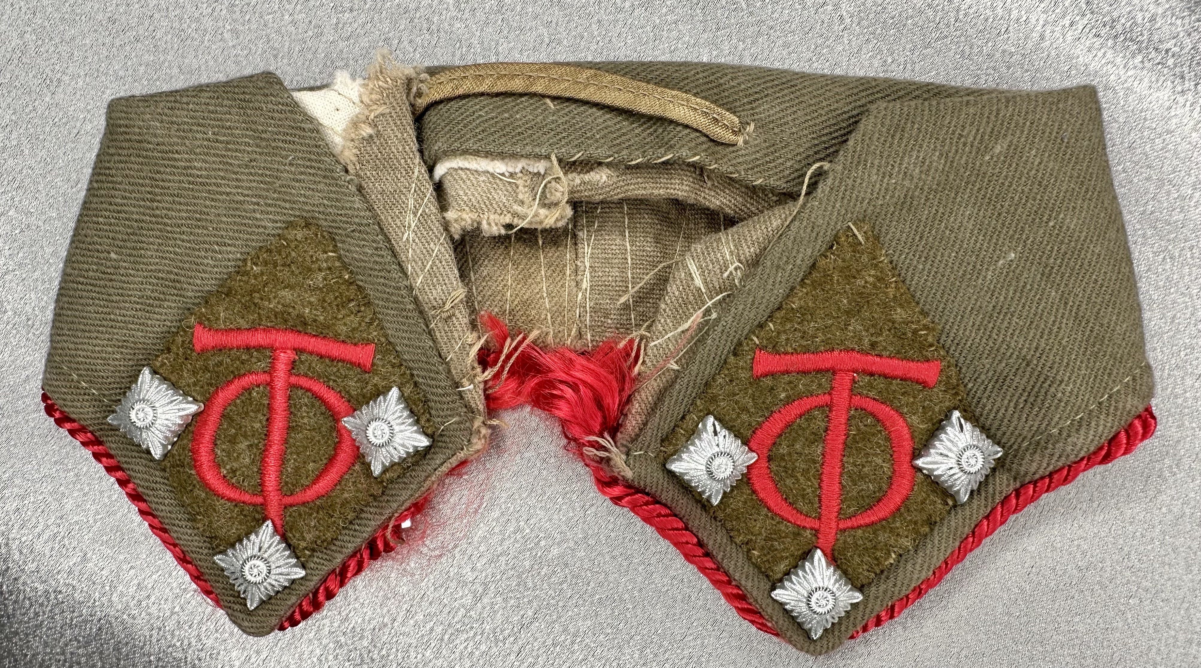 Org. Todt Haupttruppführer Collar Tabs #16920 