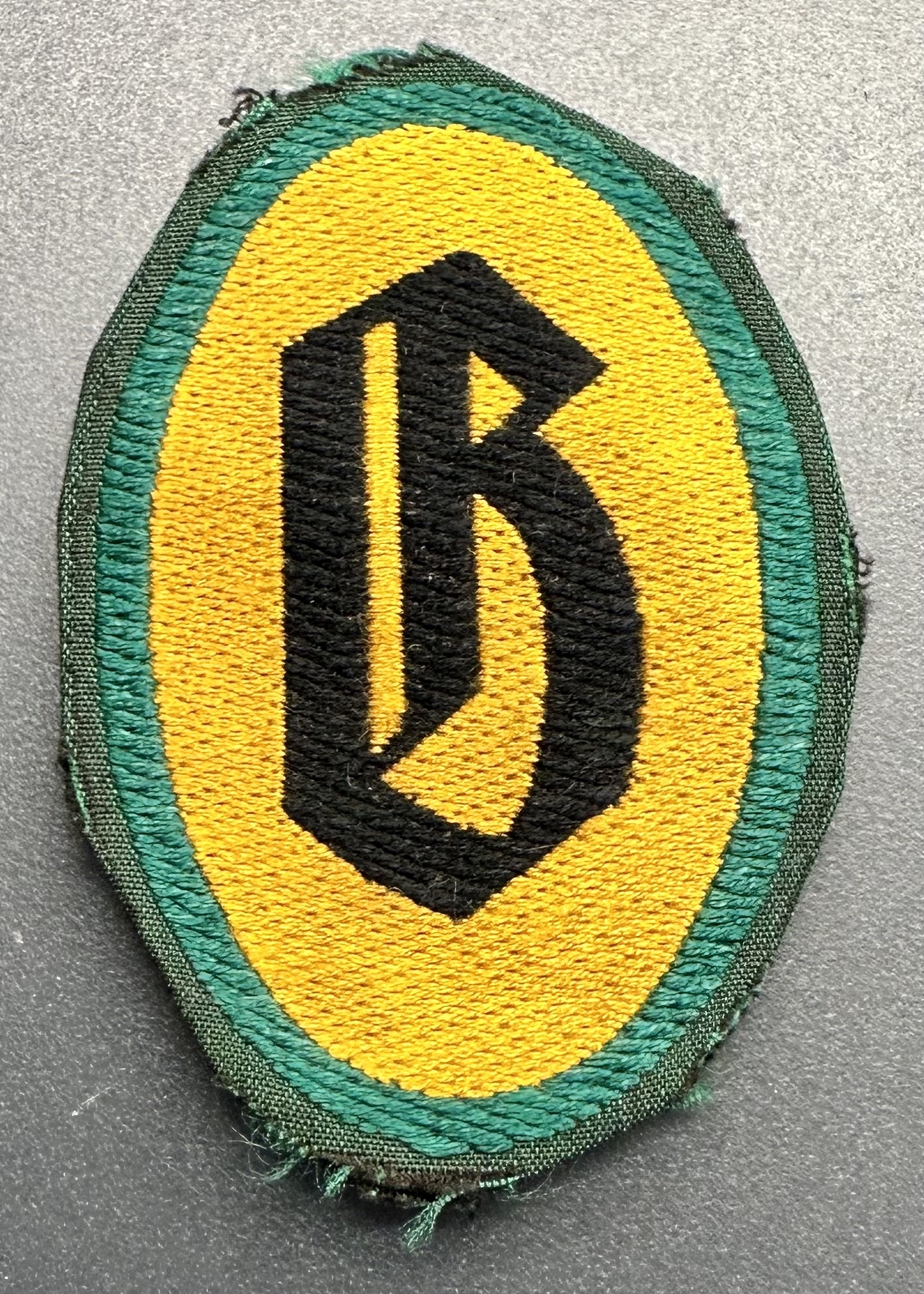 SDH Decontamination Personnel Insignia #17218 