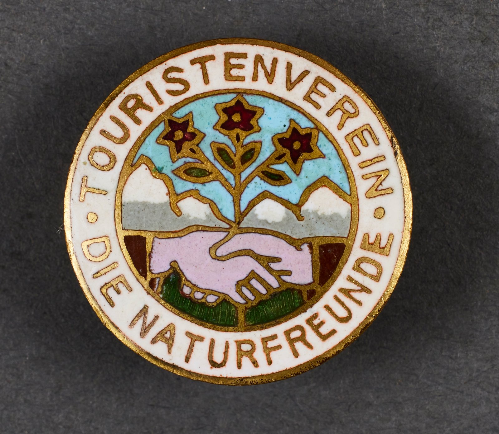 Touristenverein Die Naturfreunde Membership Badge #22480 