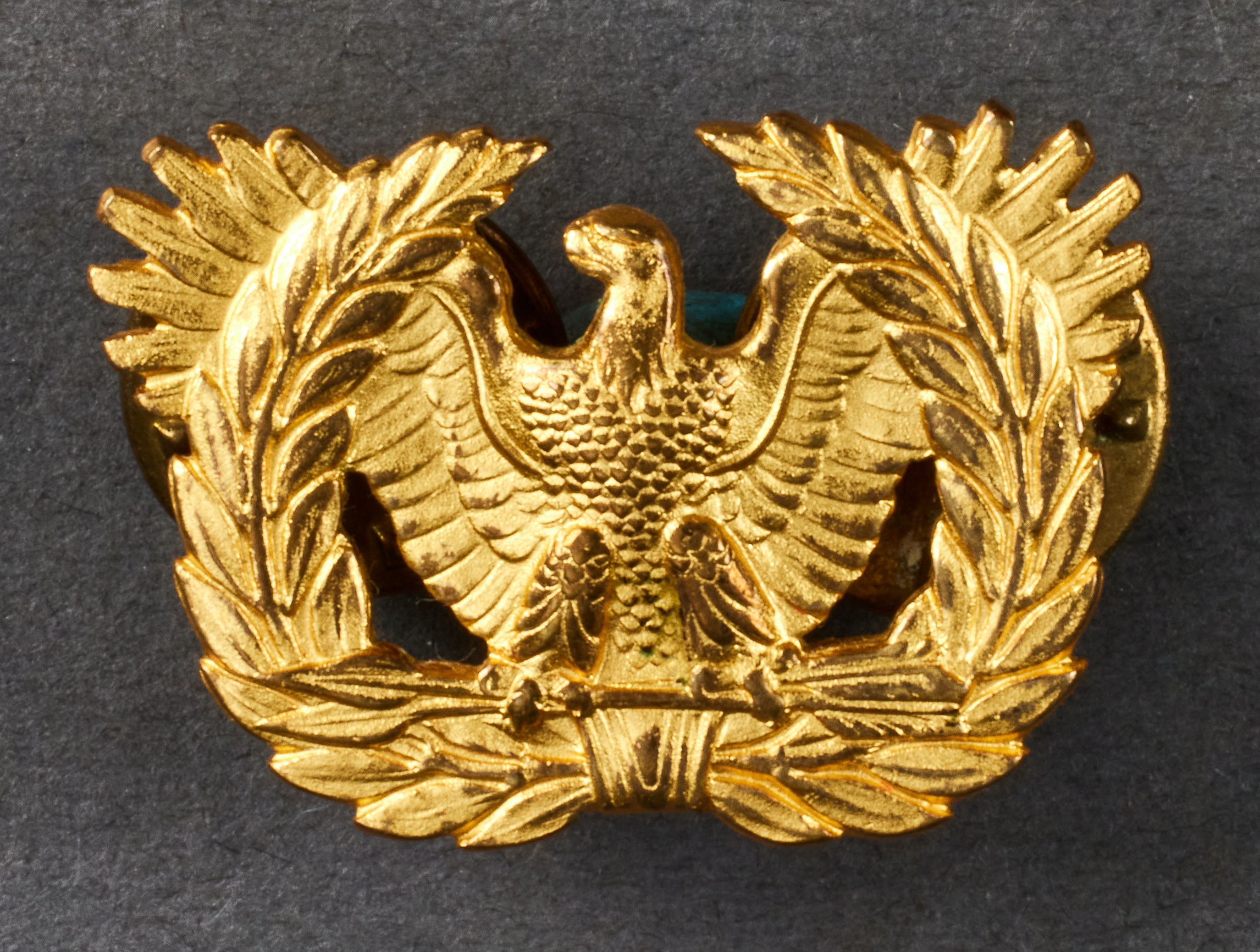 US Army Warrant Officer\'s Eagle #20992 