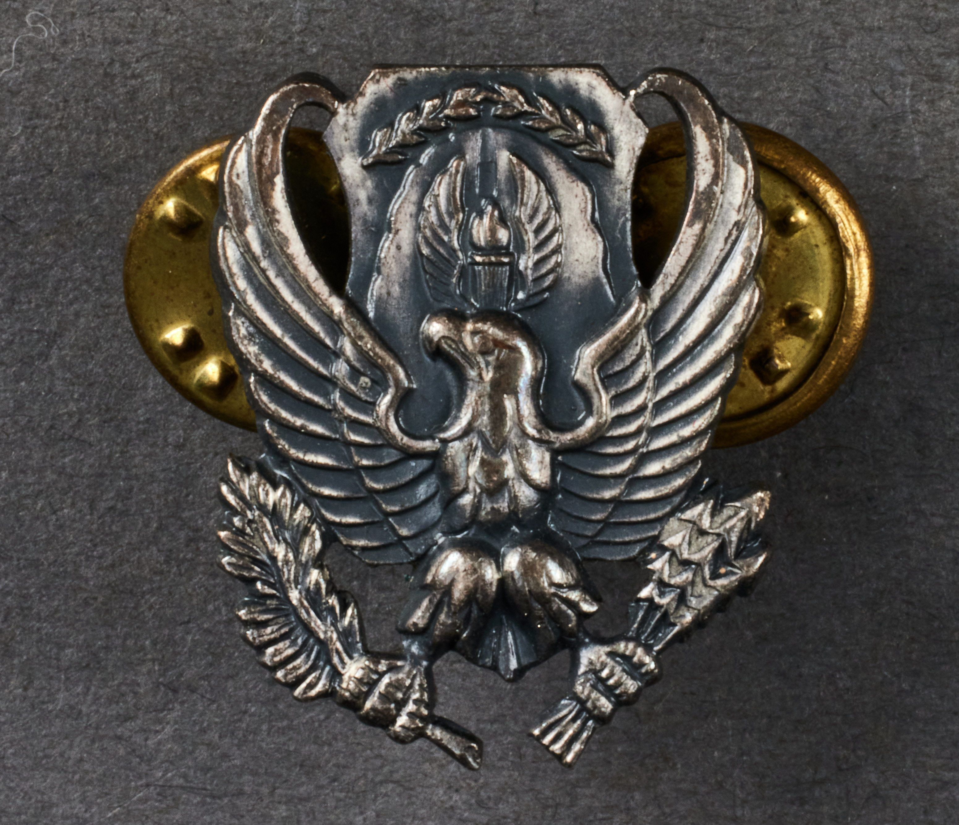 US Air Force ROTC Eagle #20994 
