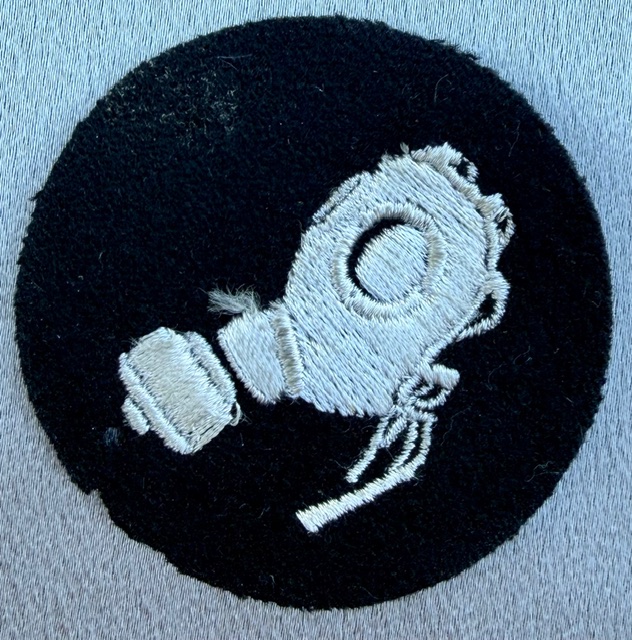 SS Gas Protection Insignia #20202 