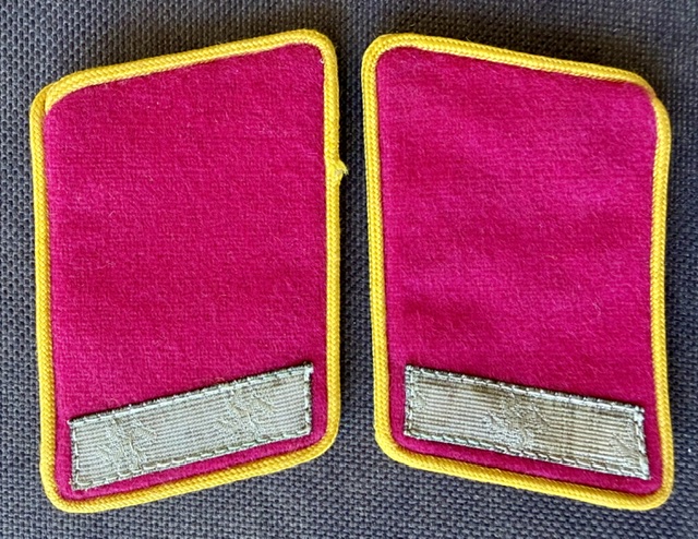 Reichsleitung Mitarbeiter Collar Tabs #20738 