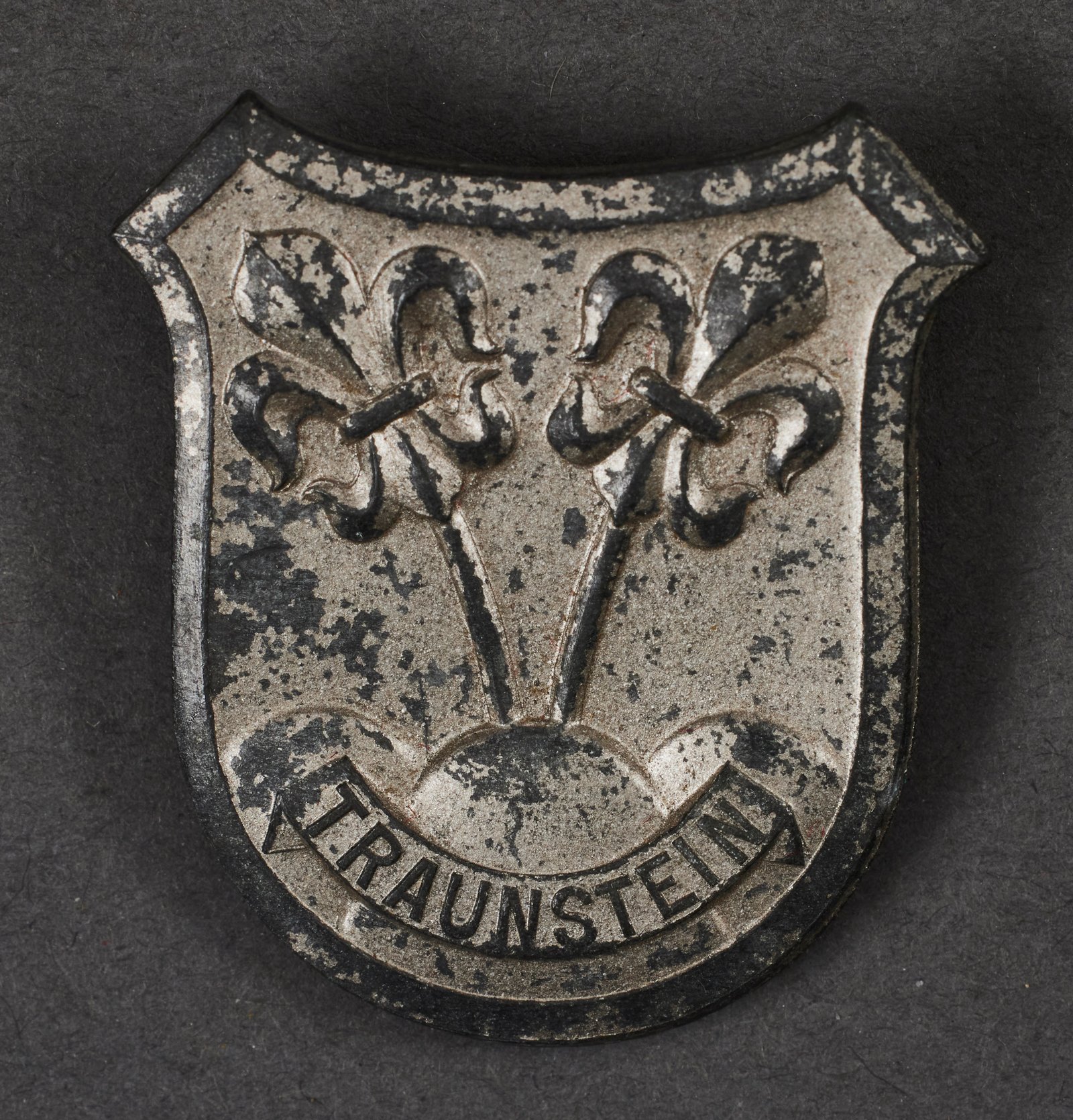 Traunstein Winterhilfswerk Badge #22509 